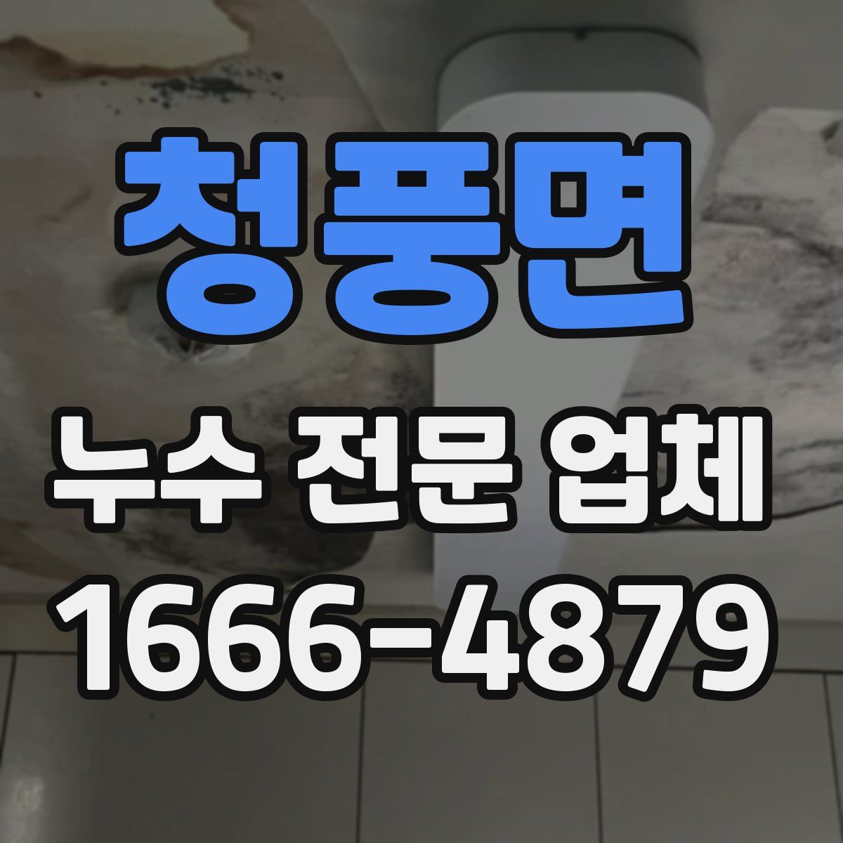 청풍면 누수 전문 업체