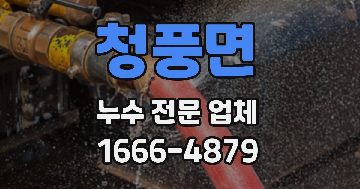 청풍면 누수 전문 업체