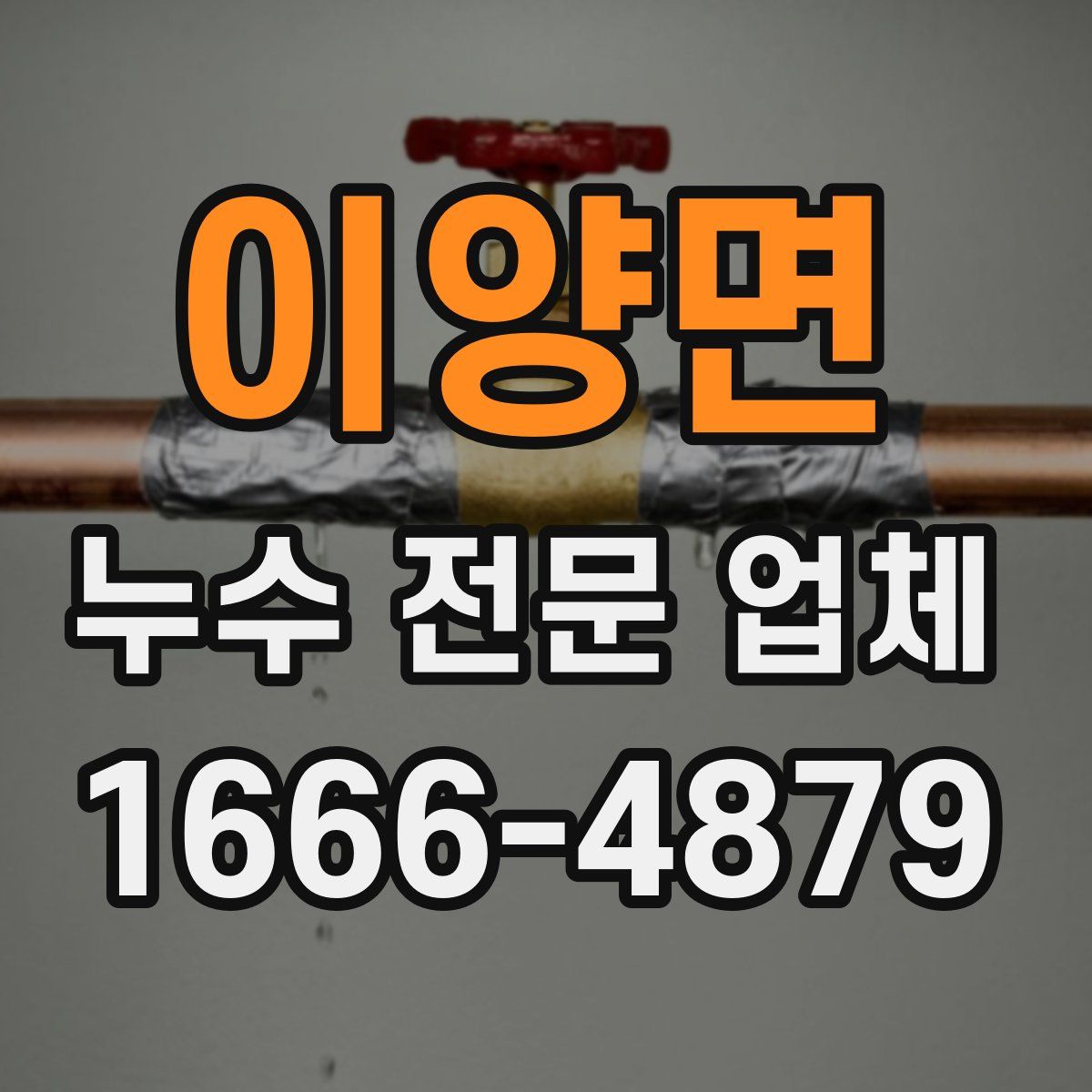 이양면 누수 전문 업체