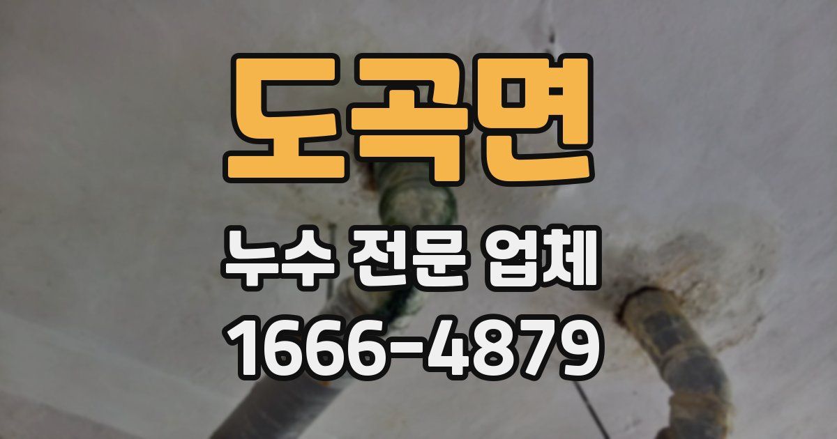도곡면 누수 전문 업체