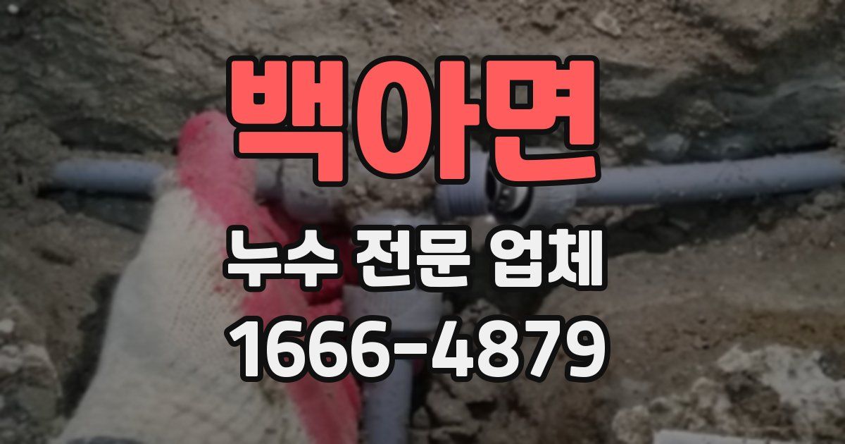 백아면 누수 전문 업체