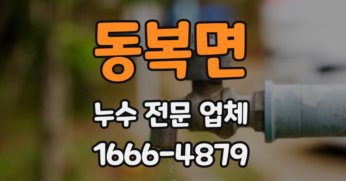 동복면 누수 전문 업체