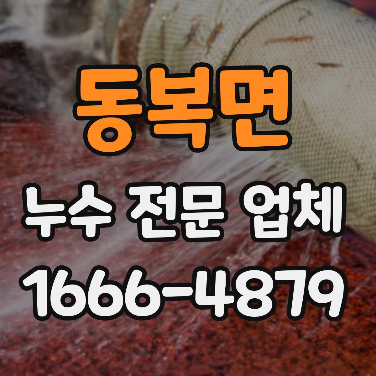 동복면 누수 전문 업체