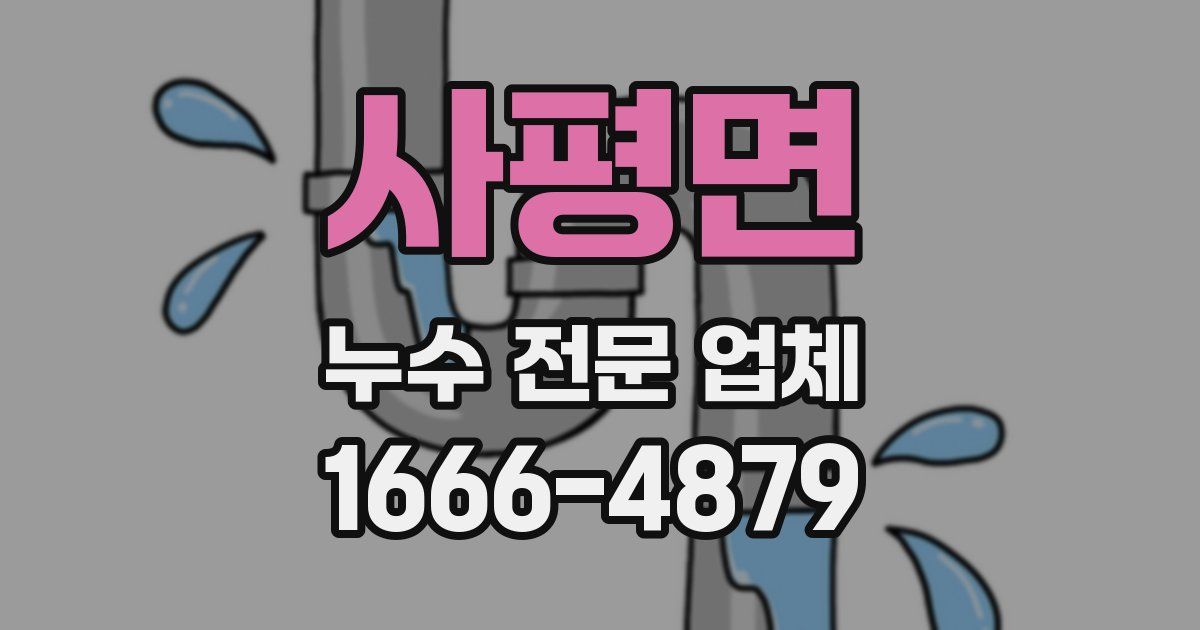 사평면 누수 전문 업체