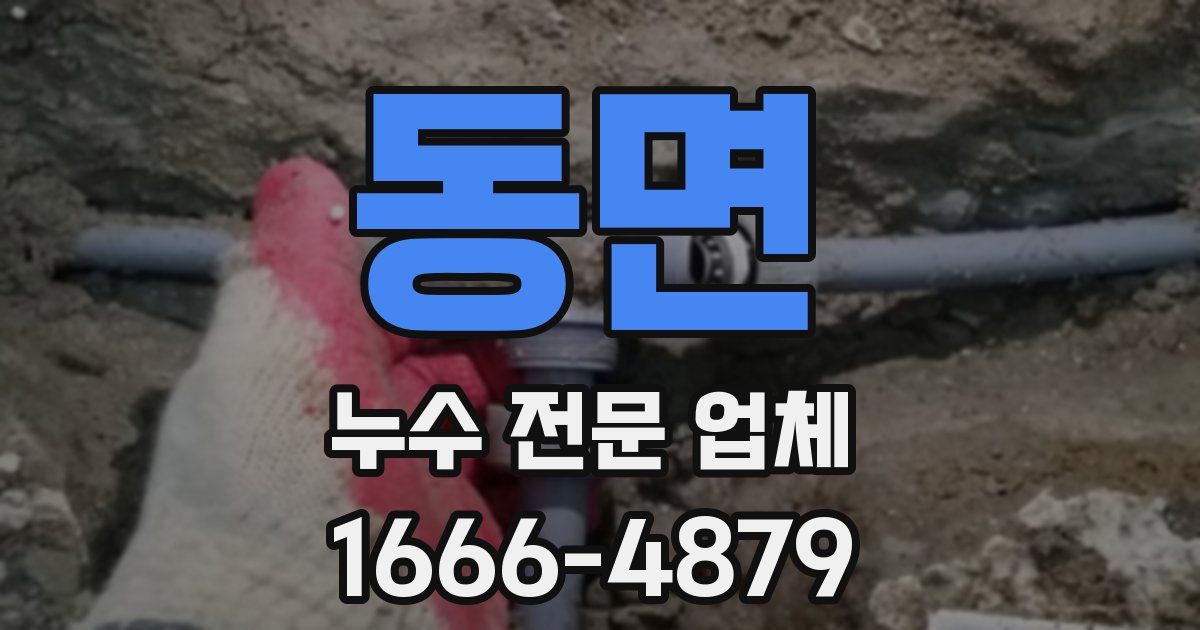 동면 누수 전문 업체