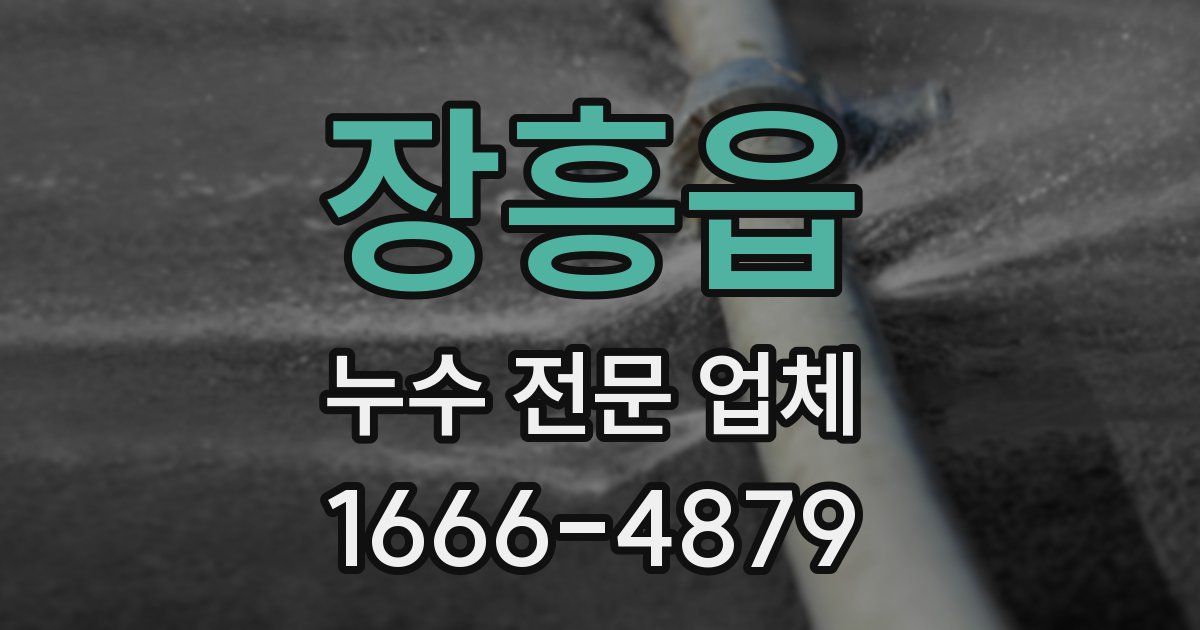 장흥읍 누수 전문 업체
