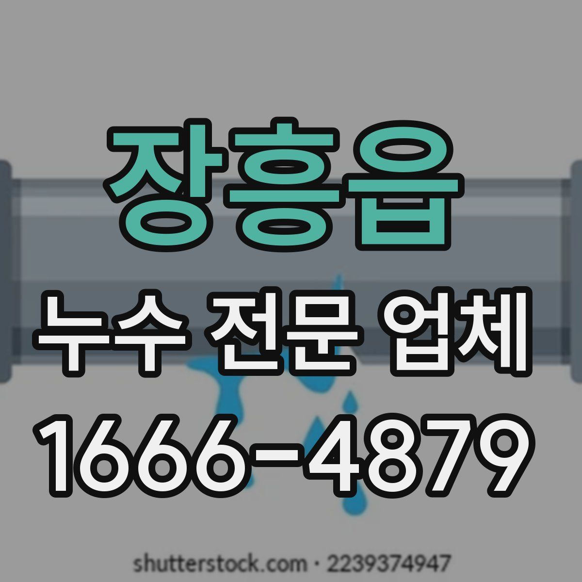 장흥읍 누수 전문 업체