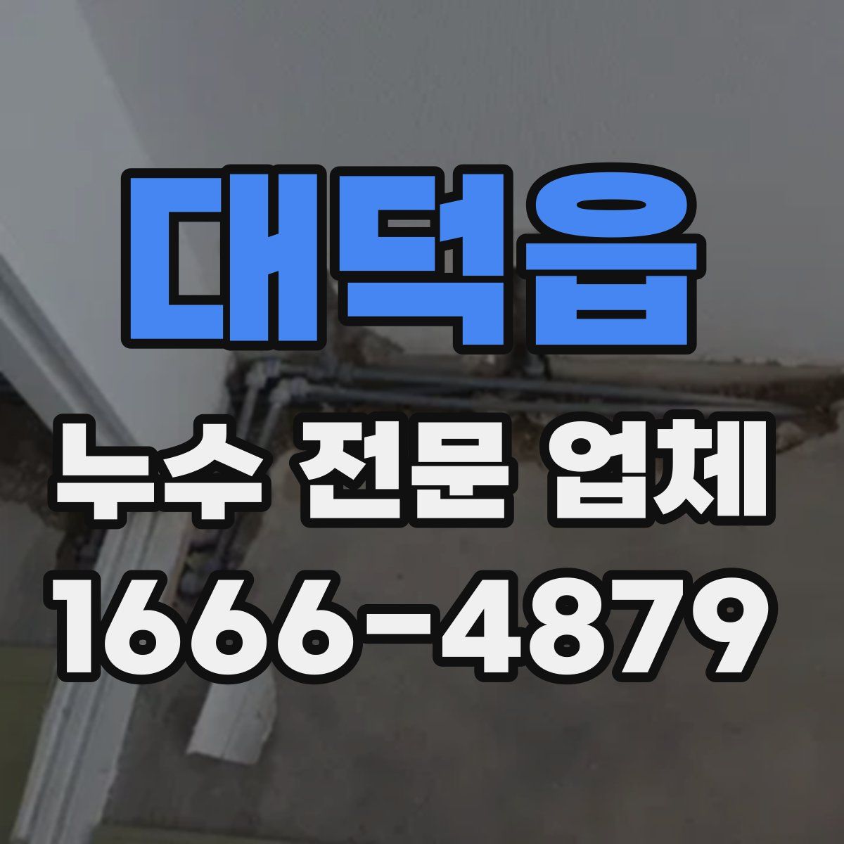 대덕읍 누수 전문 업체