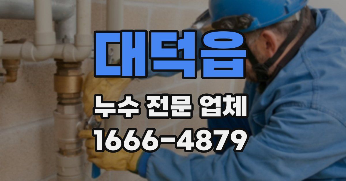 대덕읍 누수 전문 업체