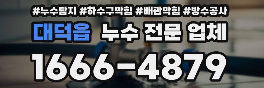 대덕읍 누수 전문 업체