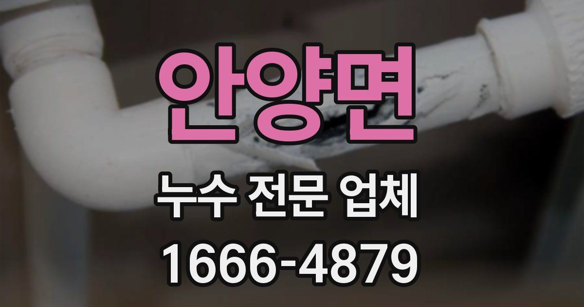 안양면 누수 전문 업체