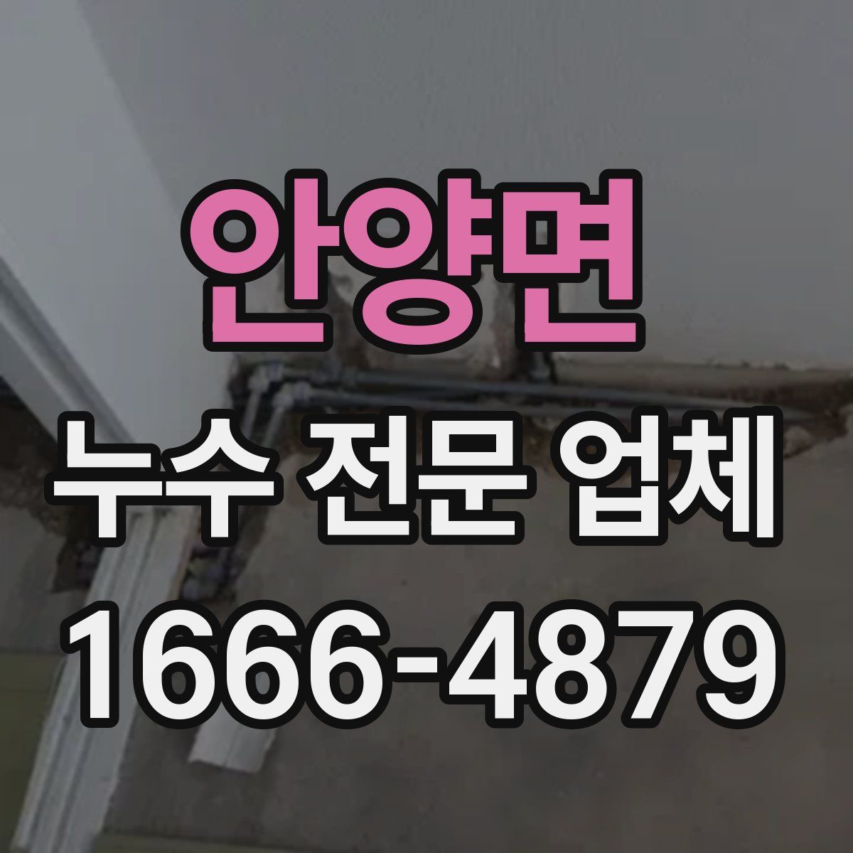 안양면 누수 전문 업체