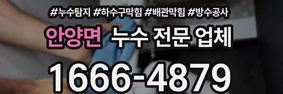 안양면 누수 전문 업체