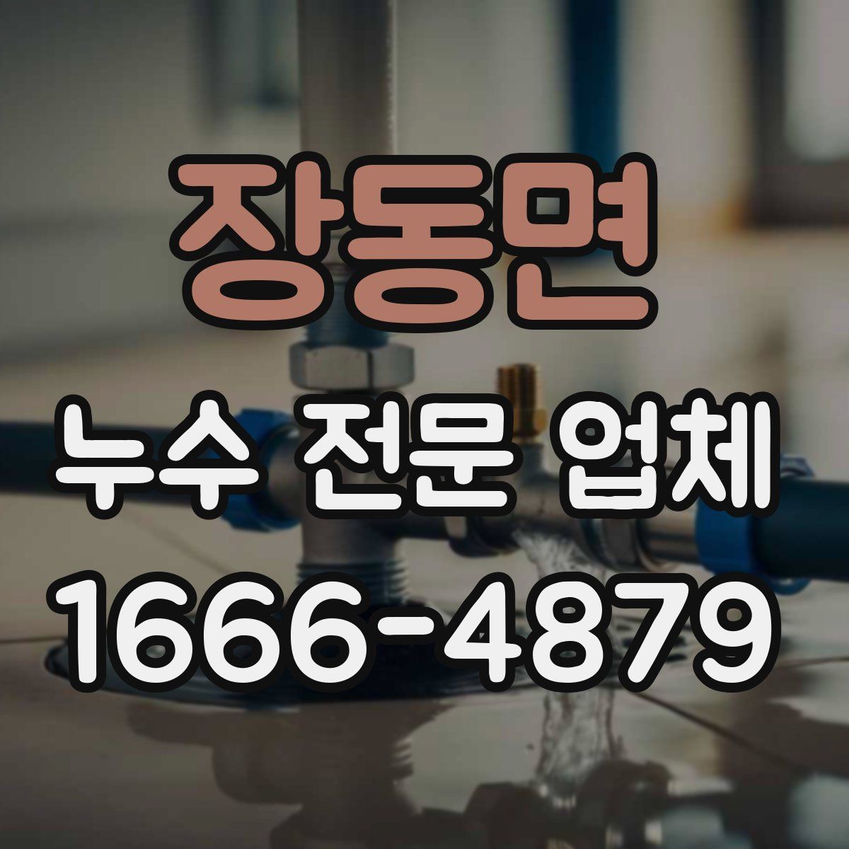 장동면 누수 전문 업체