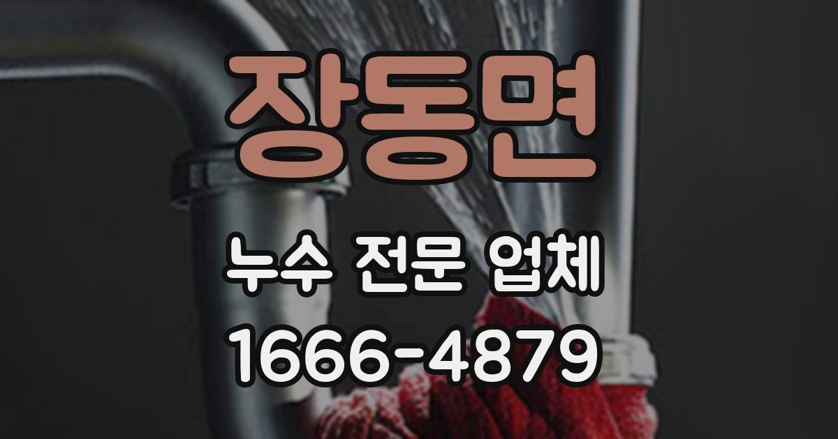 장동면 누수 전문 업체