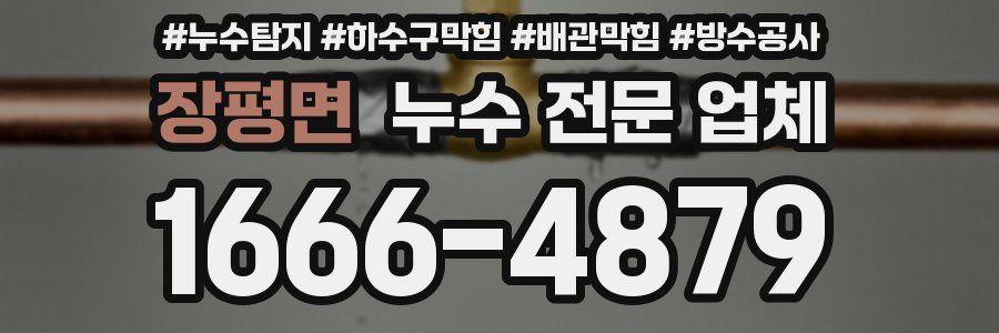 장평면 누수 전문 업체