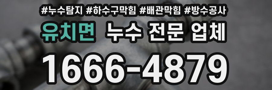 유치면 누수 전문 업체