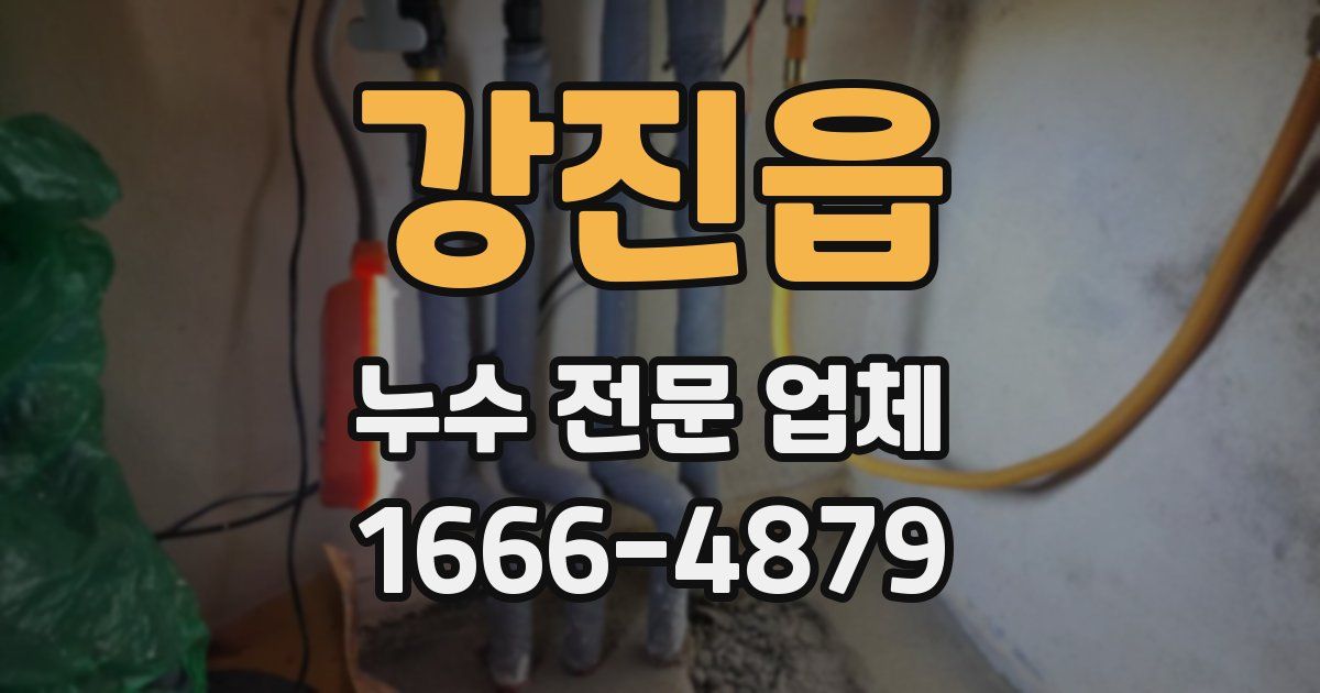 강진읍 누수 전문 업체