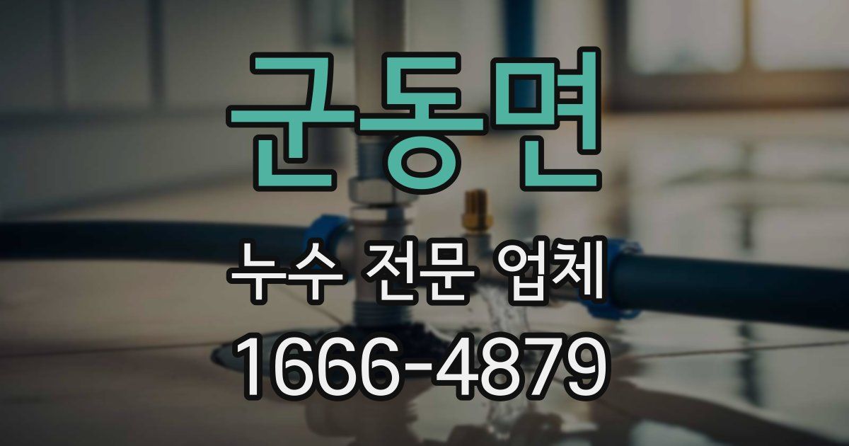 군동면 누수 전문 업체