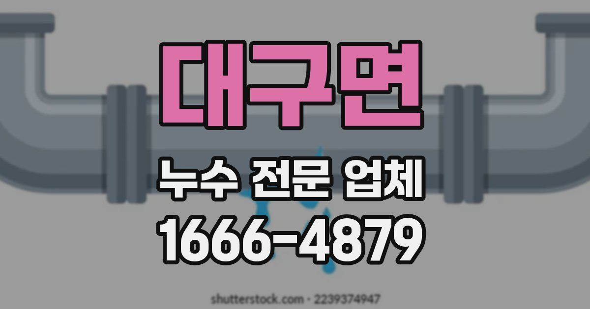 대구면 누수 전문 업체