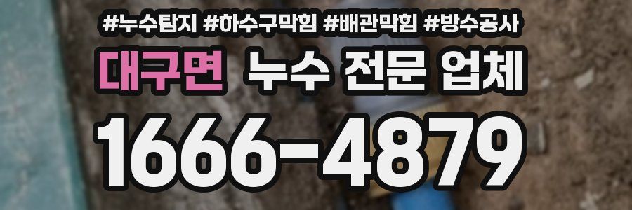 대구면 누수 전문 업체