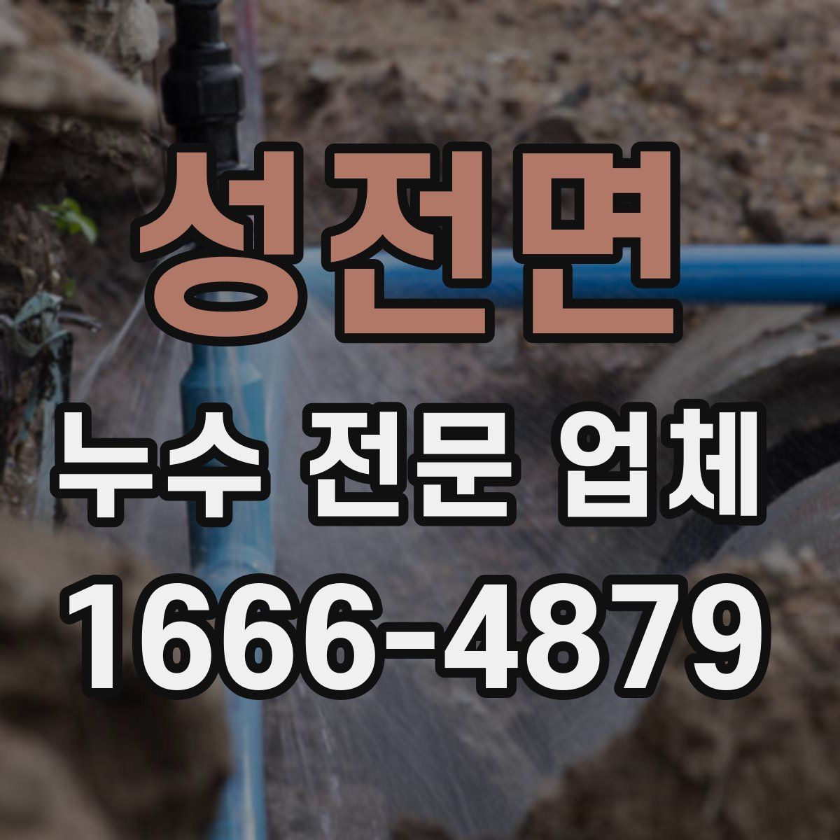성전면 누수 전문 업체