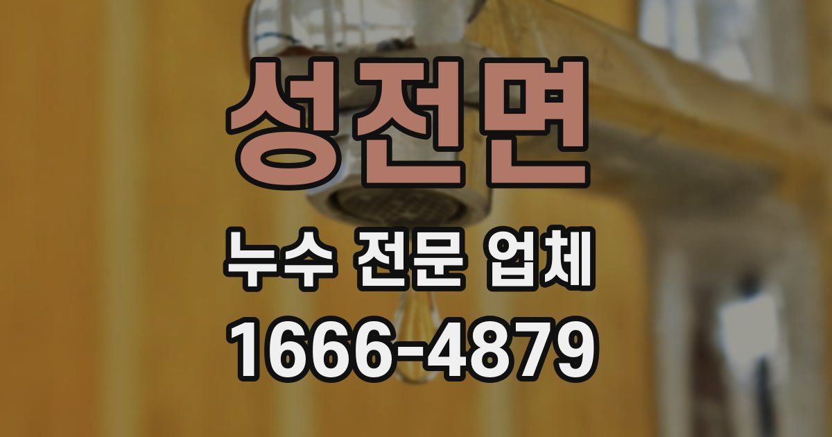 성전면 누수 전문 업체