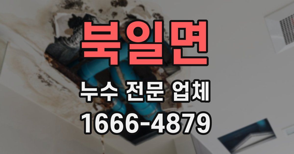 북일면 누수 전문 업체