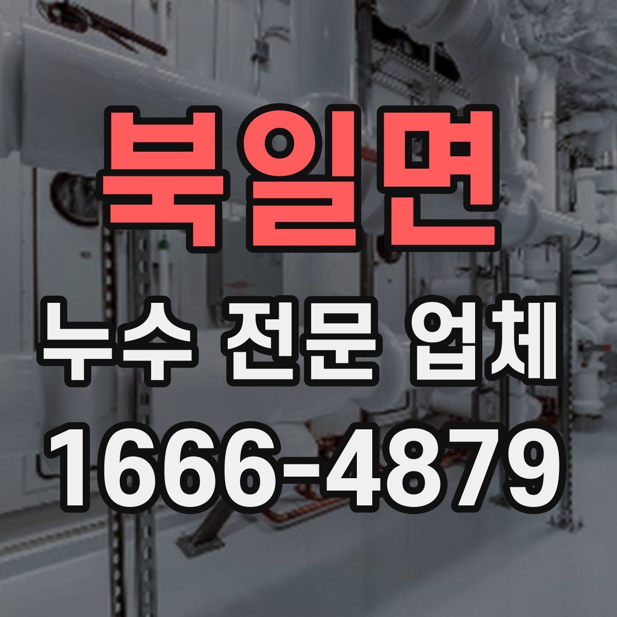 북일면 누수 전문 업체