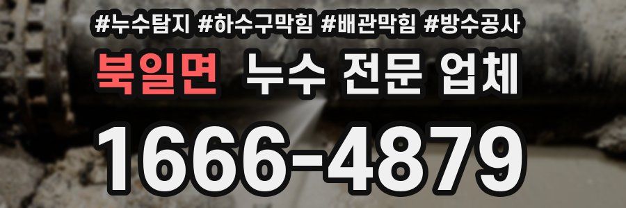 북일면 누수 전문 업체