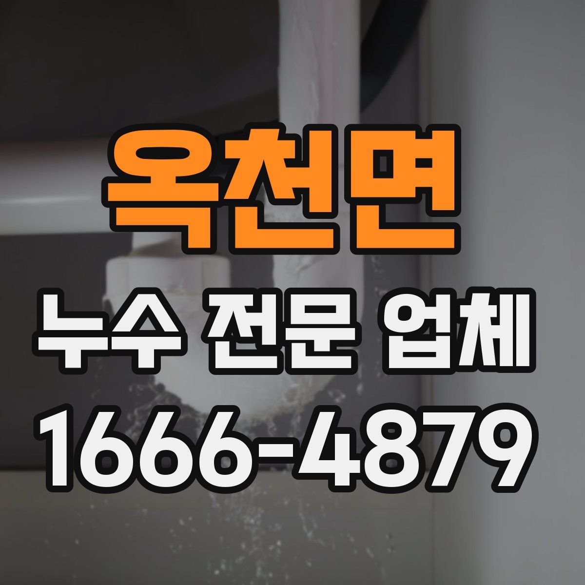 옥천면 누수 전문 업체