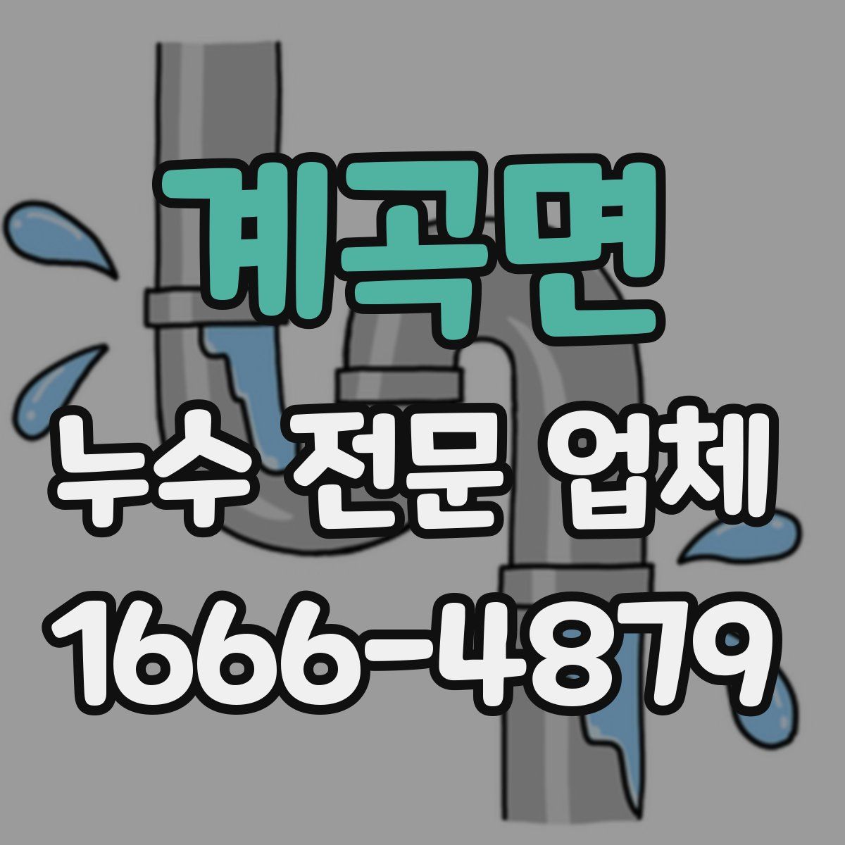 계곡면 누수 전문 업체