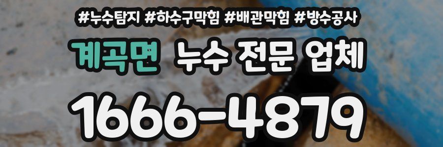 계곡면 누수 전문 업체