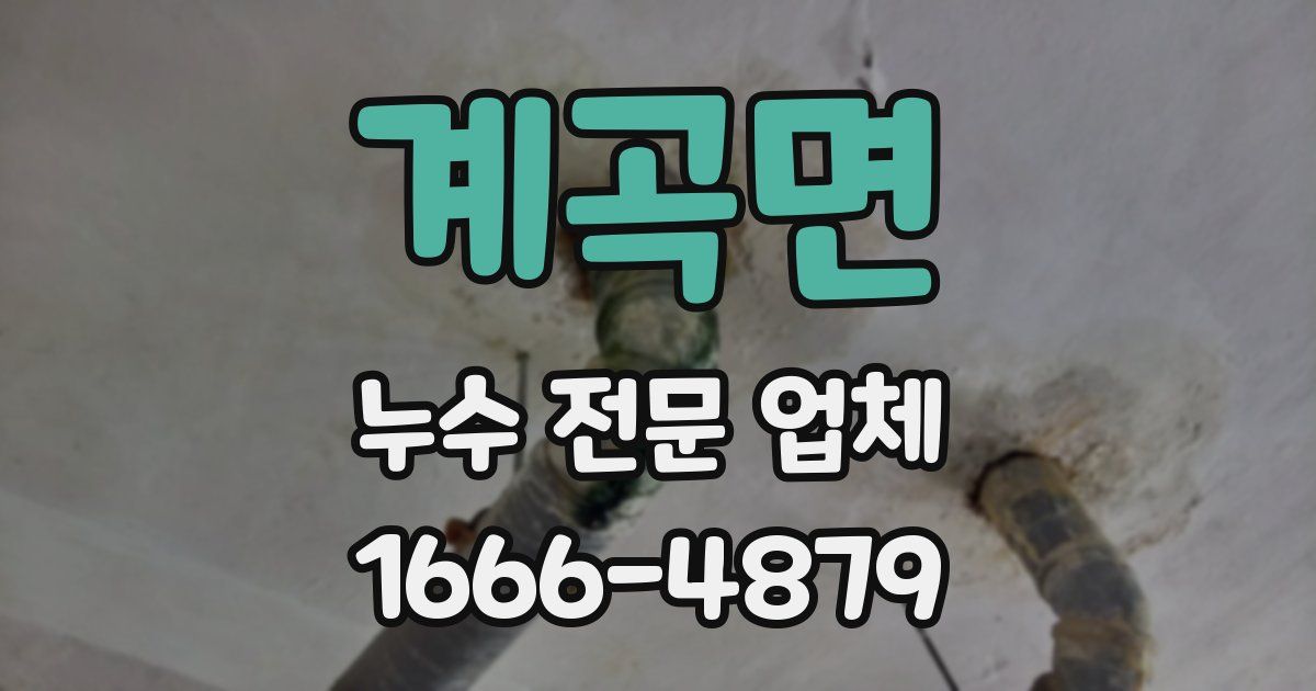 계곡면 누수 전문 업체