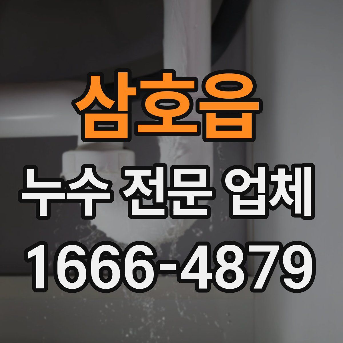 삼호읍 누수 전문 업체