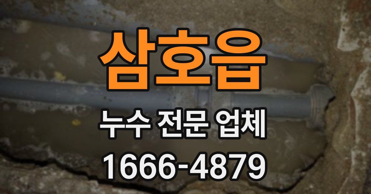 삼호읍 누수 전문 업체