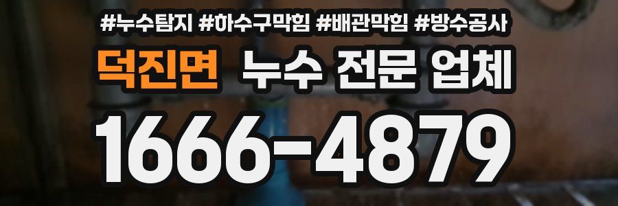 덕진면 누수 전문 업체
