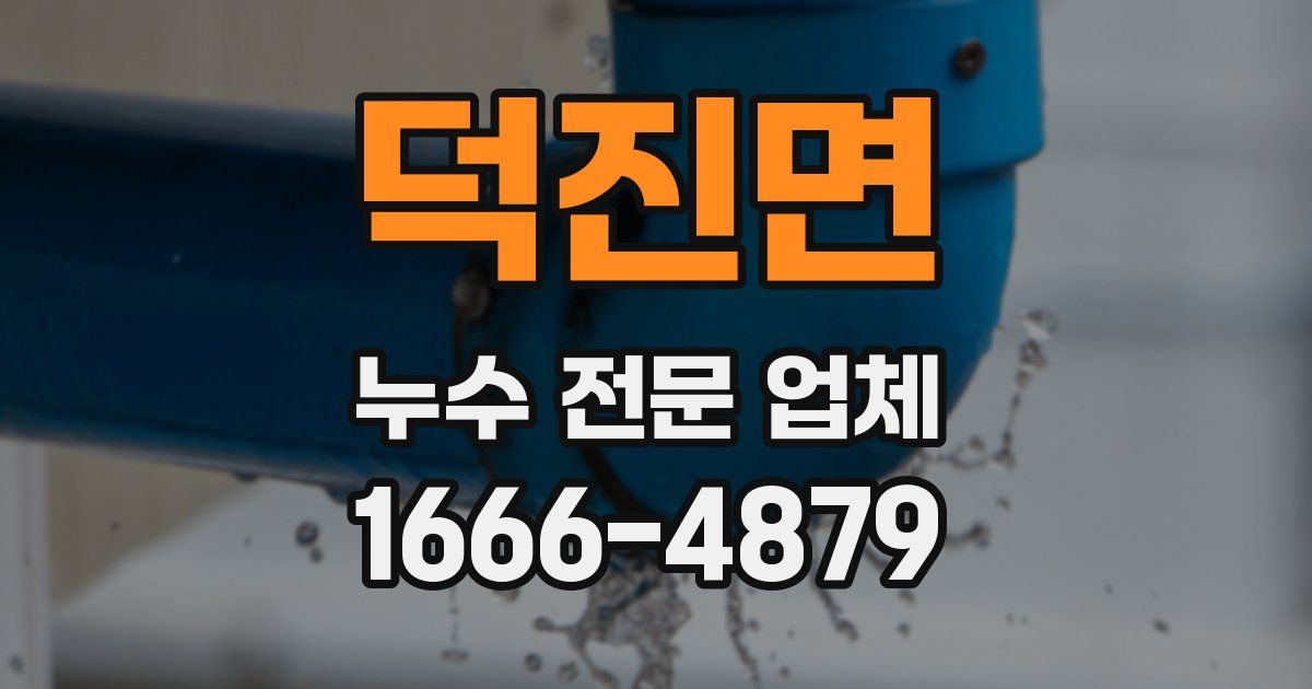 덕진면 누수 전문 업체