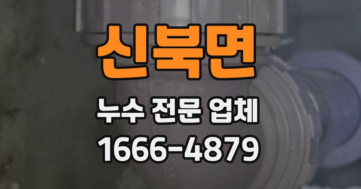 신북면 누수 전문 업체