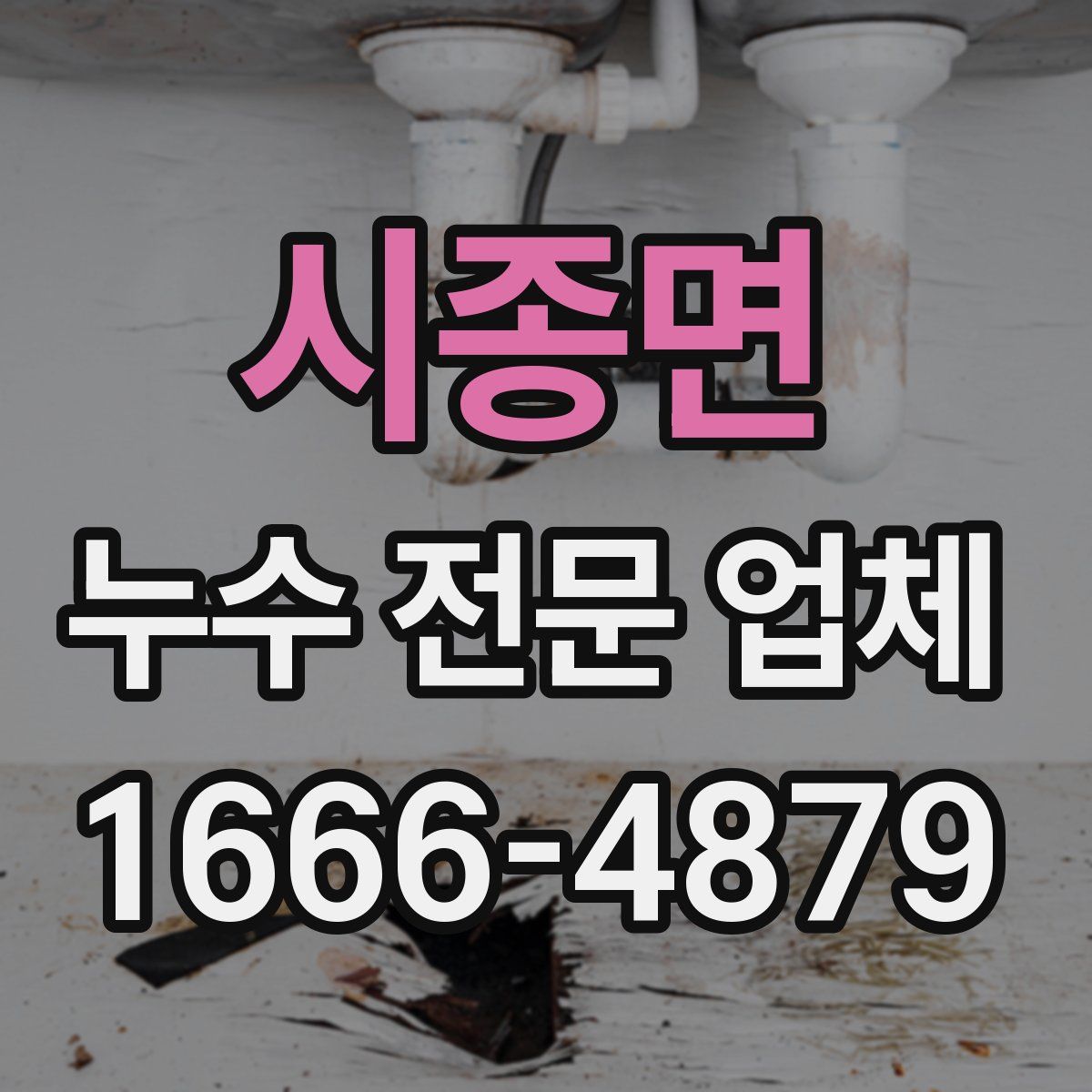 시종면 누수 전문 업체