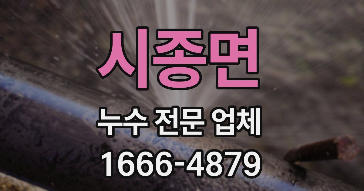 시종면 누수 전문 업체