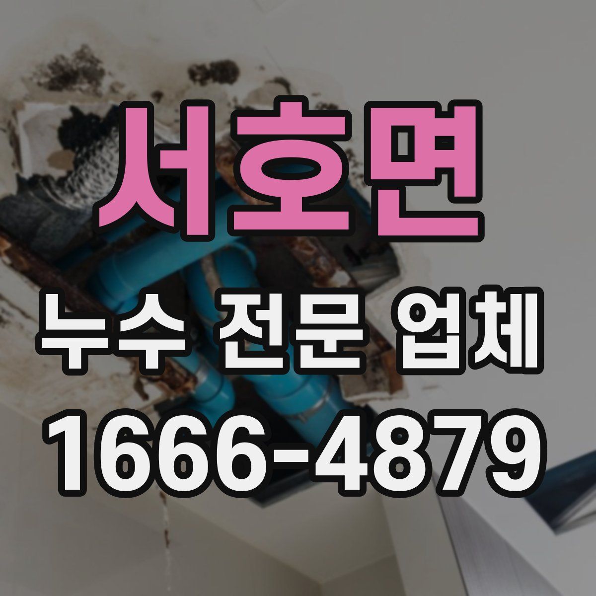 서호면 누수 전문 업체