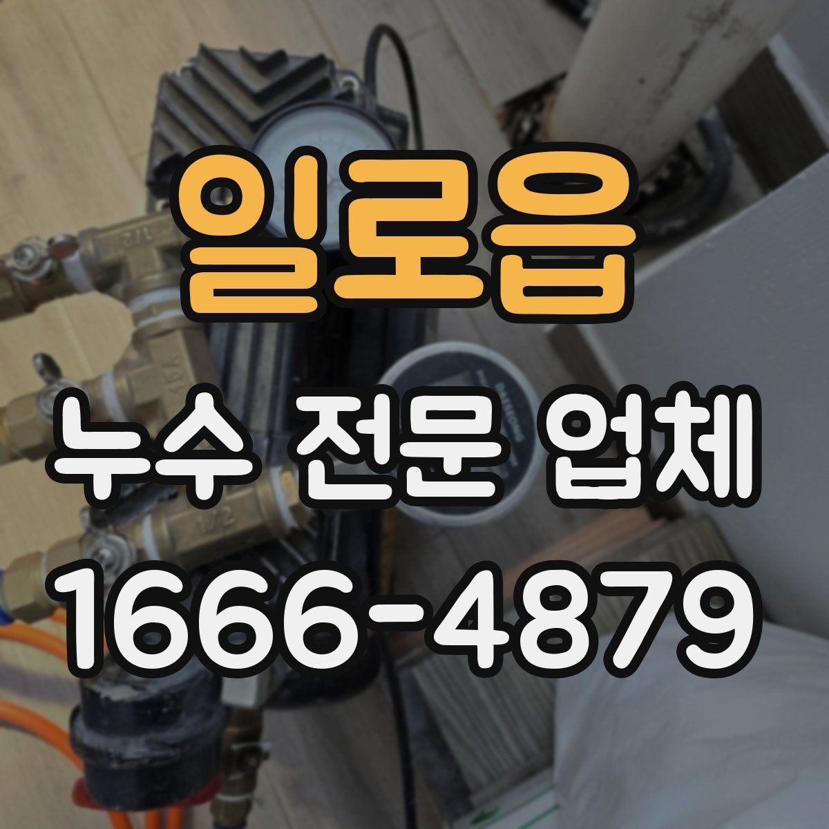 일로읍 누수 전문 업체