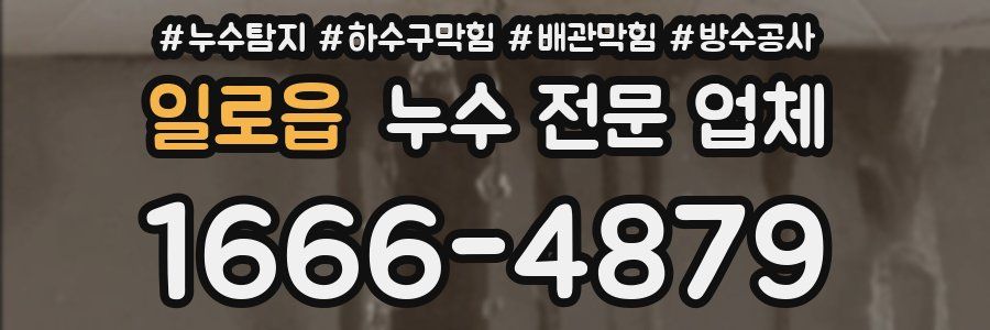 일로읍 누수 전문 업체