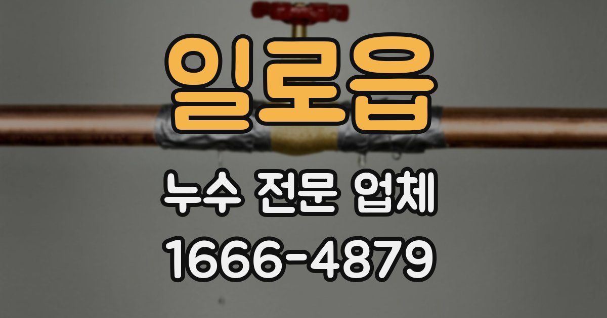 일로읍 누수 전문 업체