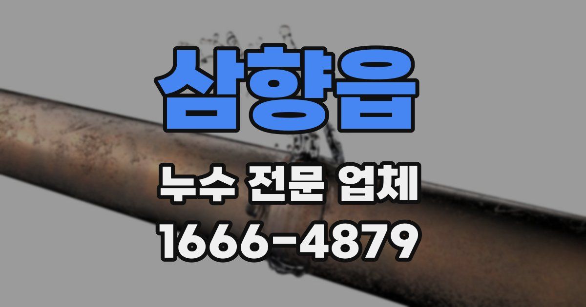 삼향읍 누수 전문 업체