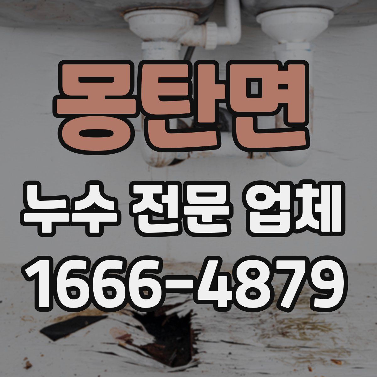 몽탄면 누수 전문 업체