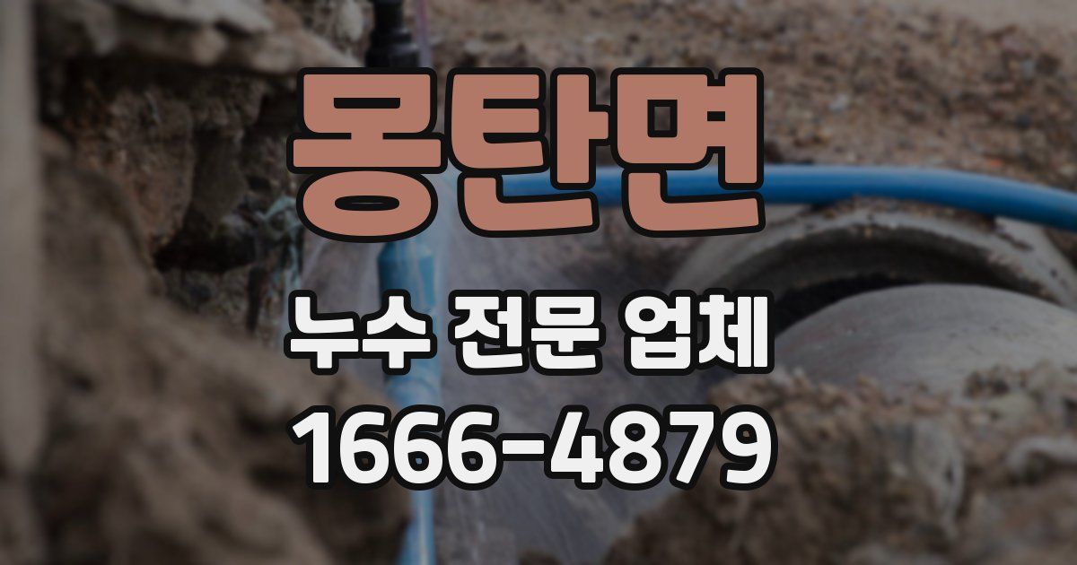 몽탄면 누수 전문 업체