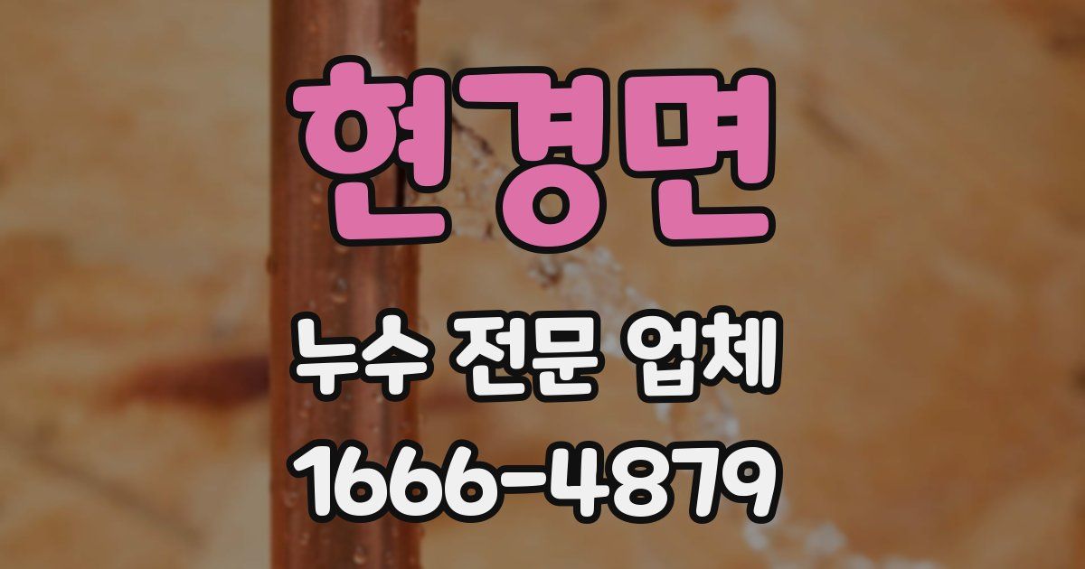 현경면 누수 전문 업체