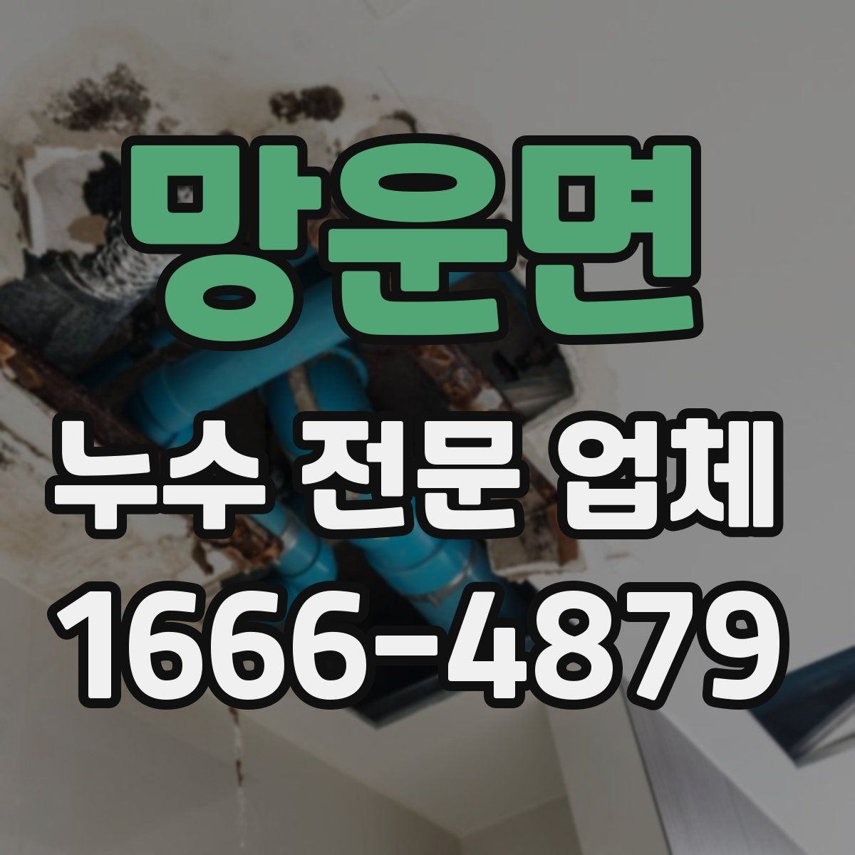 망운면 누수 전문 업체